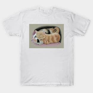 Sleeping Kittens T-Shirt